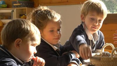 Importancia de la Educación Preescolar: Desarrollando Bases Sólidas para el Futuro