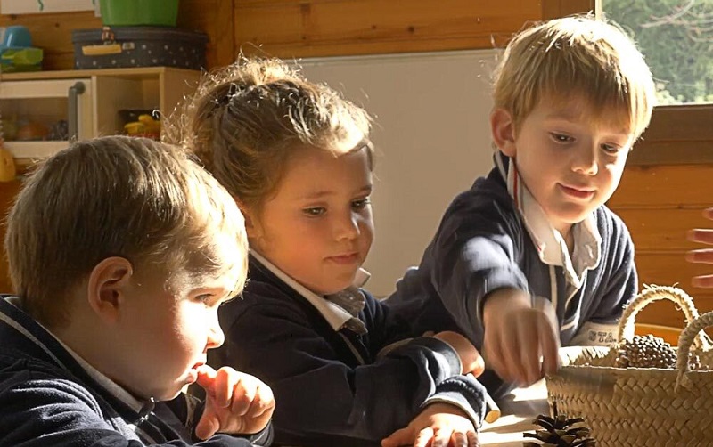 Importancia de la Educación Preescolar: Desarrollando Bases Sólidas para el Futuro