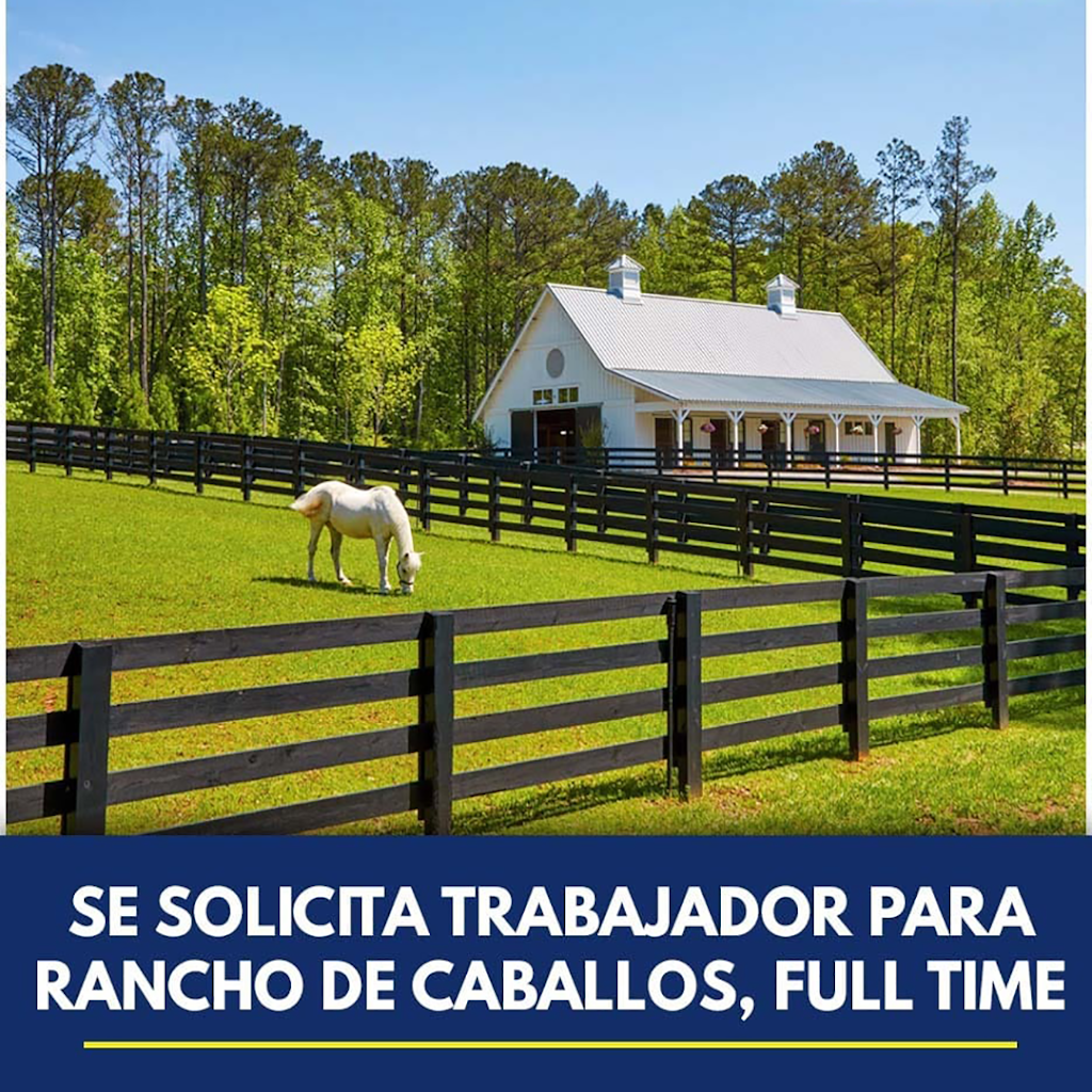 SE SOLICITA TRABAJADORES PARA RANCHO DE CABALLOS (CON O SIN EXPERIENCIA)